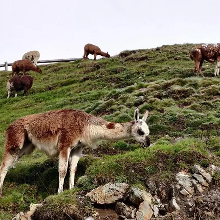 シャレー L'oustaou 2 - Col Du Tourmalet - La Mongie *